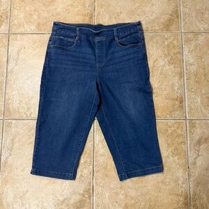 Time and Tru L 12-14 Capri Pants Bundle